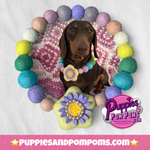 Spring Lilac Flower - Personalised Pom Pom Dog Collar