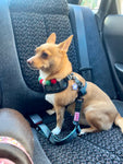 Dog Car Seat Belt - Cornish Hunting Tartan