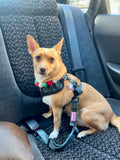 Dog Car Seat Belt - Cornish Hunting Tartan