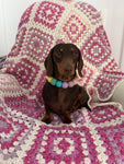 Spring - Personalised Pom Pom Dog Collar