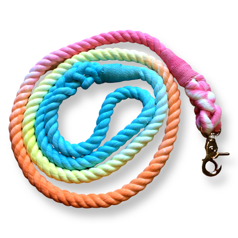 Ombre Rainbow Rope Lead