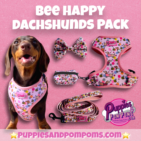 Bee Happy Dachshunds - Walking Pack