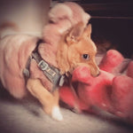 Handmade Pink Fluffy Tiny Bear Jacket
