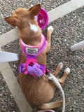 Pretty Pink Luxe Crochet Harness
