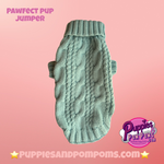 Peppermint Green Pawfect Pup Jumper