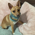 Ombré Blue / Orange Crochet Doggy Snood