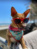 Pastel Blue Dog Sunglasses