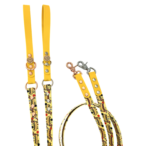Dog Leashes