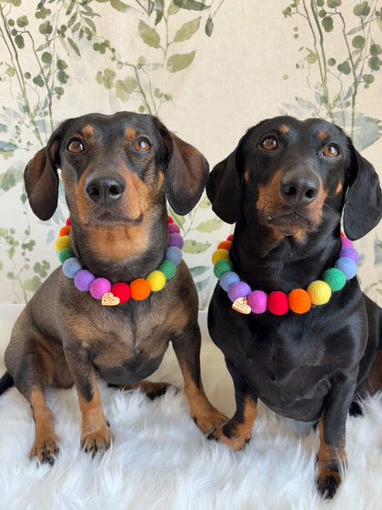 Personalised PomPom Collars ©