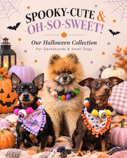 Halloween 10% OFF