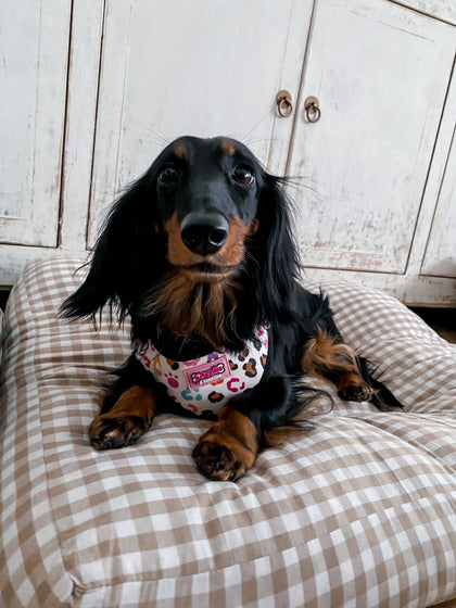 The Wild One - UPTO 70% OFF