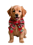 Christmas Tartan Sailer Bow