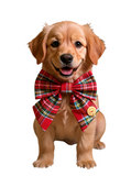 Christmas Tartan Sailer Bow