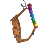 Handmade Rainbow Bead & Biothane Dog Harness - Vegan Leather / Waterproof Biothane