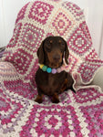 Spring Fuchsia Flower - Personalised Pom Pom Dog Collar