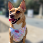 Pastel Vichy Harness