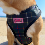 Cornish Hunting Tartan - Harness