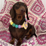 Spring Lilac Flower - Personalised Pom Pom Dog Collar