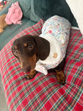 Spring Dachshunds Fluffy Handmade Reversible Coat