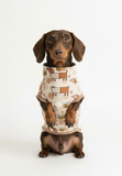 Premium Organic Handmade Teckel Sweater “Bee Happy Dachshunds” - Beige (Brown Cuffs)