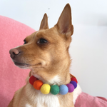 Rainbow Pom Pom Collar - Adjustable