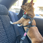 Dog Car Seat Belt - Cornish Hunting Tartan