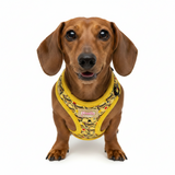 Hot Dog Dachshund’s Step-In / Body Harness