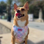 Pastel Vichy Harness