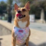 Pastel Vichy Harness