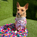 My Little Pony Bandana - Tie On