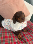 Spring Dachshunds Fluffy Handmade Reversible Coat