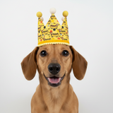 Handmade Birthday Crown Hat - Hot Dog Dachshunds