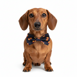 Handmade España Bow Tie