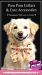 Handmade Dog Sailer Bow Tie - Halloween