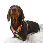 Handmade H Dog Harness - Garden Party