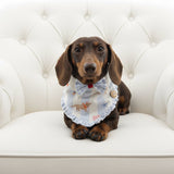 Le Petit Teckel Bluebell Bandana