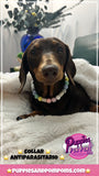 Mini Pastel EM Ceramic Bead Anti Tick Collar Anti-Parasitario