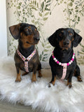 Arnés para perros salchicha Bee Happy, hecho a mano en biotano - Cuero vegano / Biotano impermeable