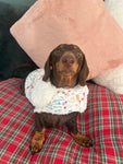 Spring Dachshunds Fluffy Handmade Reversible Coat