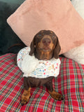 Spring Dachshunds Fluffy Handmade Reversible Coat