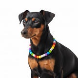 Mini Rainbow EM Ceramic Bead Anti Tick Collar Anti-Parasitario