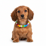 Mini Rainbow EM Ceramic Bead Anti Tick Collar Anti-Parasitario