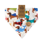Party Sausages Dachshund Bandana