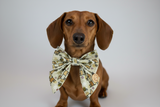“Bee Happy Dachshunds” Beige Handmade Sailer Bow