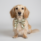 “Bee Happy Dachshunds” Beige Handmade Sailer Bow