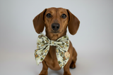 “Bee Happy Dachshunds” Beige Handmade Sailer Bow