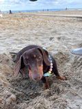 Handmade Pastel Bead & Biothane Dog Harness - Vegan Leather / Waterproof Biothane