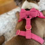 Pink Luxe Corduroy Harness