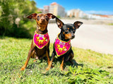 Pañuelo de ganchillo para perro - Rosa fucsia