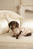 Premium Organic Handmade Teckel Sweater “Bee Happy Dachshunds” - Beige (Brown Cuffs)